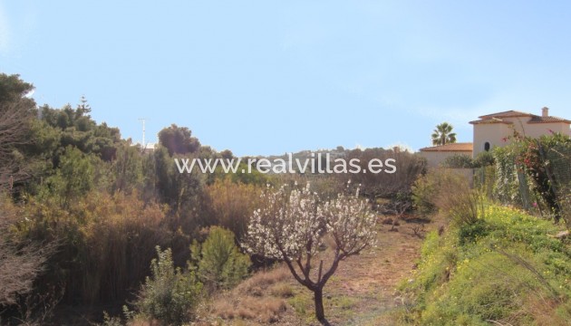 Building plot - Resale - Benissa - La Fustera