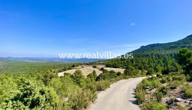 Finca / Country Property - Resale - Ayora - Valencia