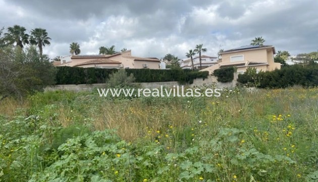 Plot/Land - Venta - Teulada - Teulada