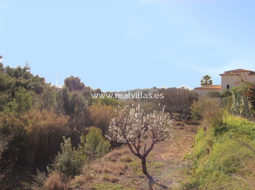 Resale - Building plot -
Benissa - La Fustera