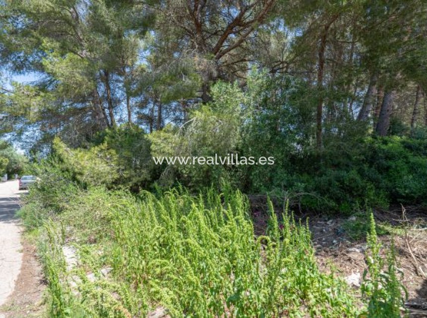 Resale - Building plot -
Jávea - Costa Nova