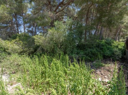 Resale - Building plot -
Jávea - Costa Nova