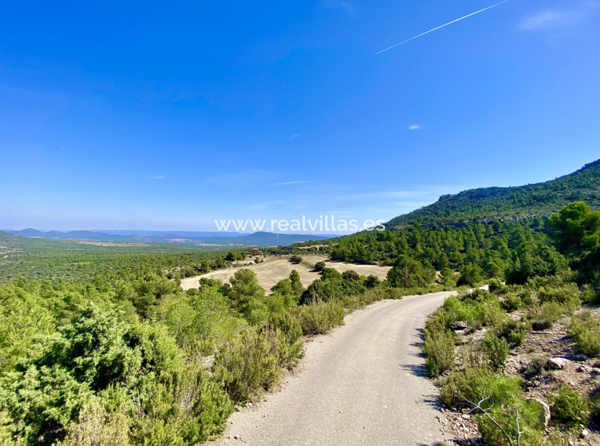 Resale - Finca / Country Property -
Ayora - Valencia