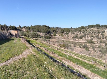 Resale - Rustic plot -
Benissa - Lleus