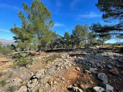 Revente - Building plot -
Beniarbeig - Benidoleig