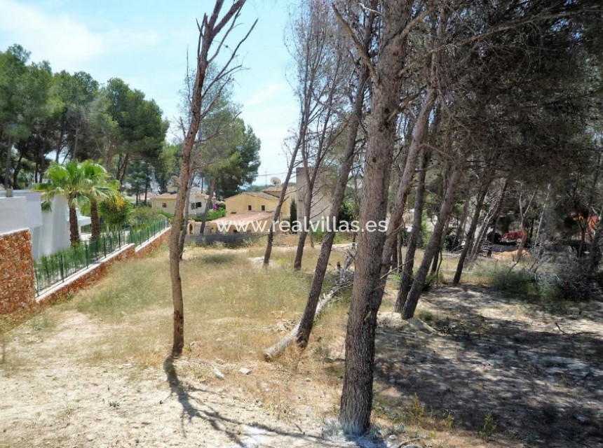 Revente - Building plot -
Moraira - Pinar de l’Advocat