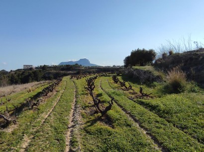 Revente - Rustic plot -
Benissa - Lleus