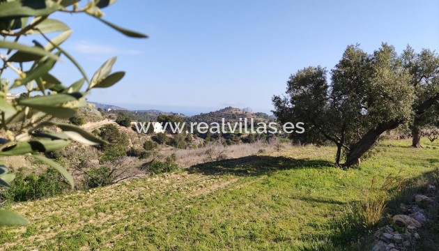 Rustic plot - Resale - Benissa - Lleus