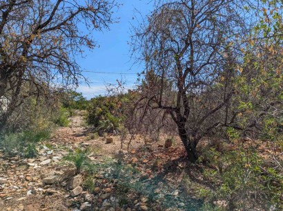 Sale - Building plot -
Denia - Corral de Calafat