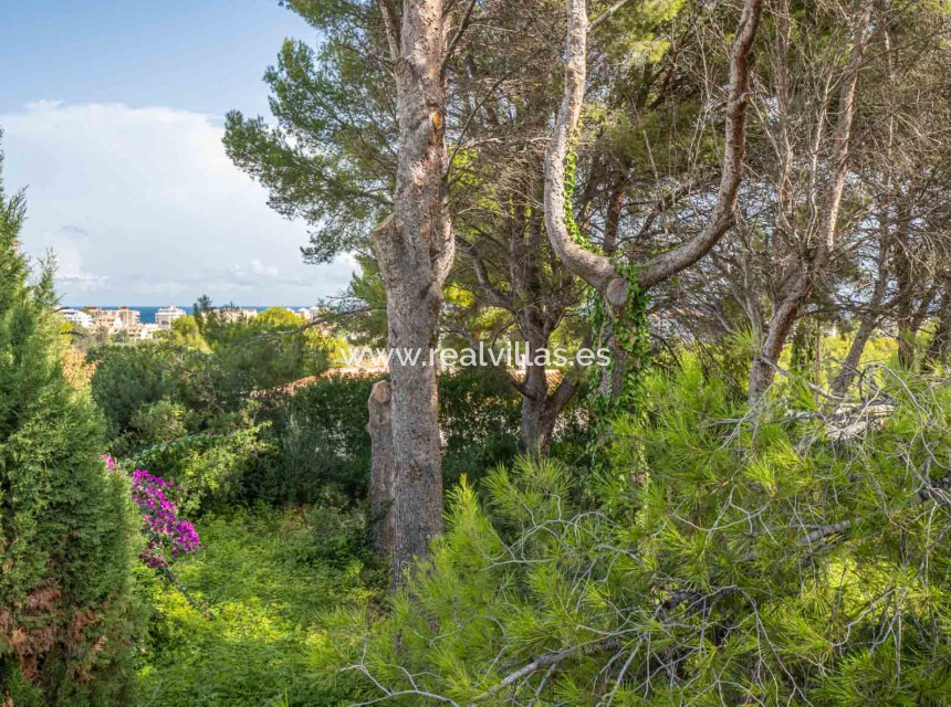 Sale - Building plot -
Jávea - Adsubia