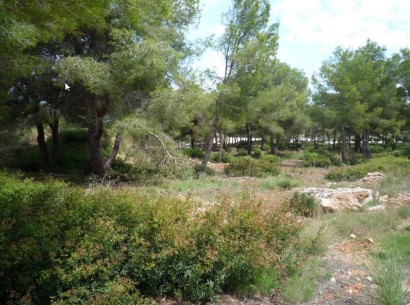 Sale - Building plot -
Jávea - La Cala