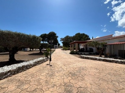 Venta - Finca -
Alfaz del Pi
