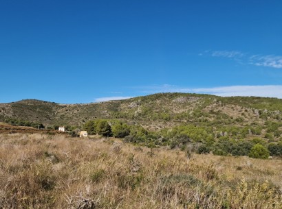 Venta - Parcela / Terreno -
Benitachell - a:1:{i:0;s:11:\