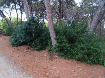 Venta - Parcela / Terreno -
Moraira