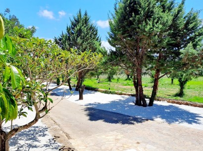 Sale - Country estate -
Benissa