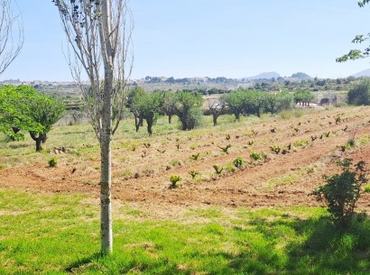Sale - Country estate -
Benissa