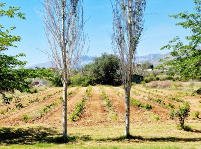 Sale - Country estate -
Benissa