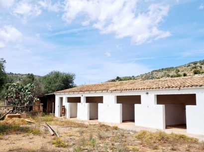 Sale - Country estate -
Benissa