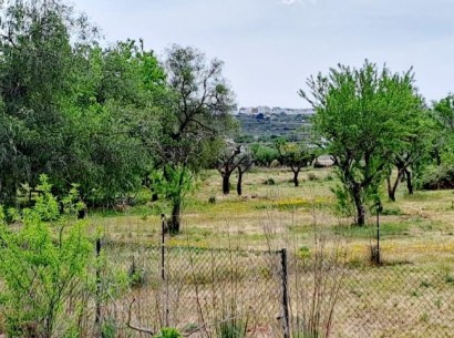 Sale - Country estate -
Benissa