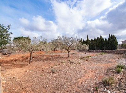 Sale - Finca / Country Property -
Benissa - Partida Canor