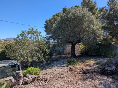 Sale - Building plot -
Benissa - Buenavista