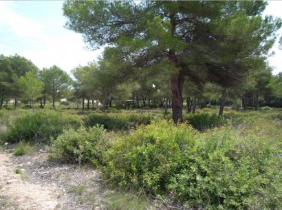 Sale - Building plot -
Jávea - La Cala