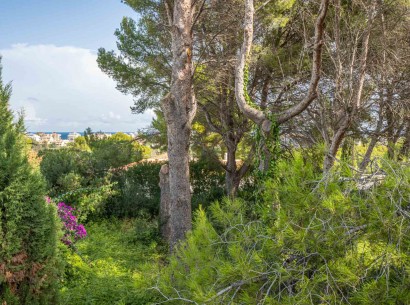 Sale - Building plot -
Jávea - Adsubia