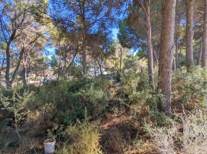 New Build - Villa -
Moraira - San Jaime