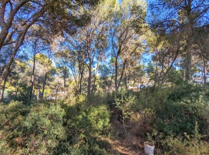 New Build - Villa -
Moraira - San Jaime