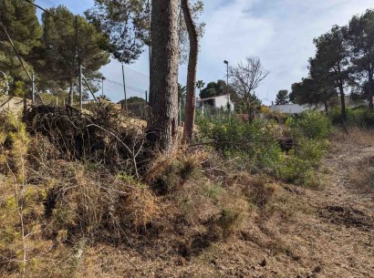 Venta - Building plot -
Moraira - Pinar del Advocat