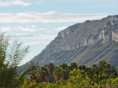 New Build - Apartment -
Denia - La Pedrera