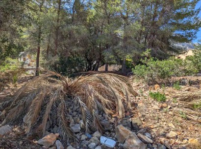 Sale - Building plot -
Denia - Don Quijote