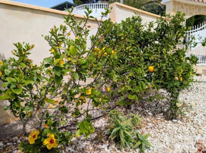 Resale - Villa -
Moraira - Pinar de L´Advocat