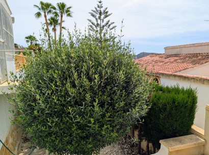 Resale - Villa -
Moraira - Pinar de L´Advocat