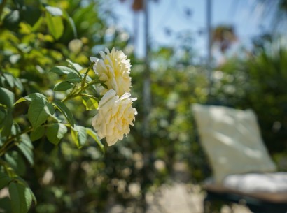 Sale - Villa -
Jávea - pinosol