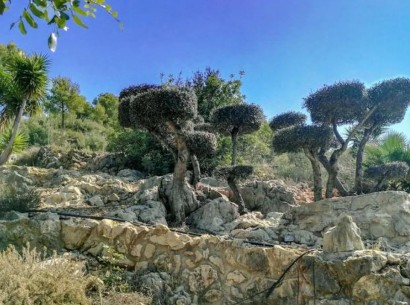 Venta - Finca / Country Property -
Pedreguer