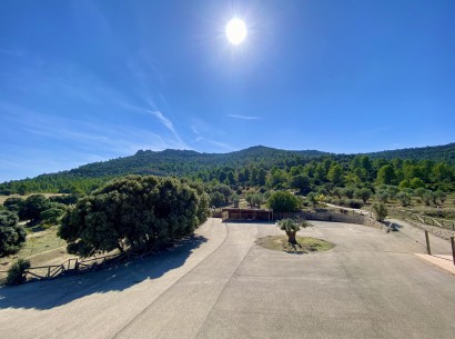 Resale - Finca / Country Property -
Ayora - Valencia