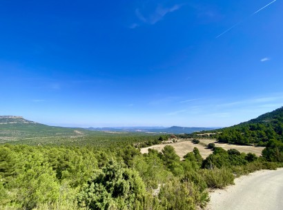 Resale - Finca / Country Property -
Ayora - Valencia