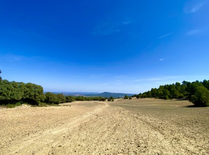 Resale - Finca / Country Property -
Ayora - Valencia