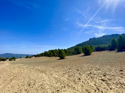 Resale - Finca / Country Property -
Ayora - Valencia