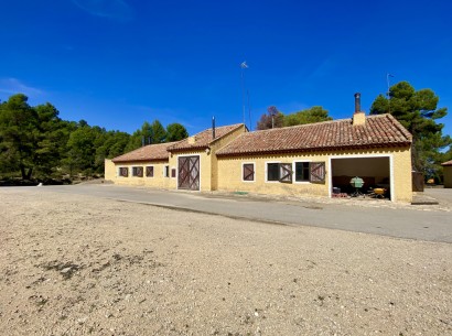 Resale - Finca / Country Property -
Ayora - Valencia