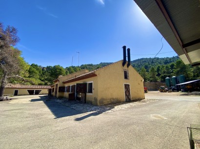 Resale - Finca / Country Property -
Ayora - Valencia