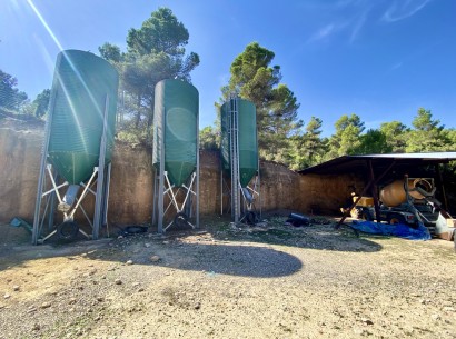 Resale - Finca / Country Property -
Ayora - Valencia