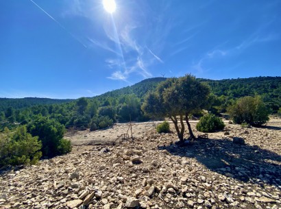 Resale - Finca / Country Property -
Ayora - Valencia