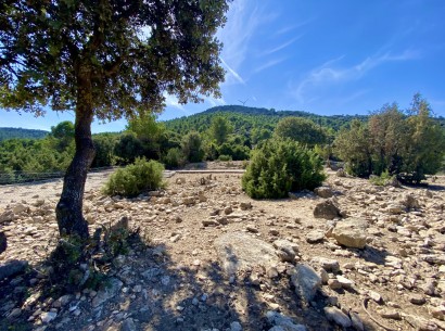 Resale - Finca / Country Property -
Ayora - Valencia