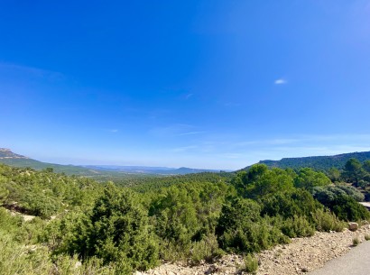 Resale - Finca / Country Property -
Ayora - Valencia