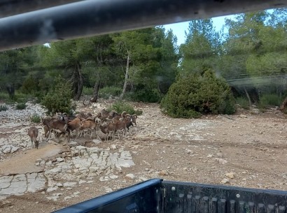Resale - Finca / Country Property -
Ayora - Valencia
