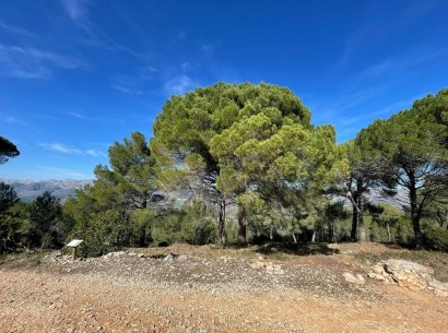 Venta - Building plot -
Beniarbeig - Benidoleig