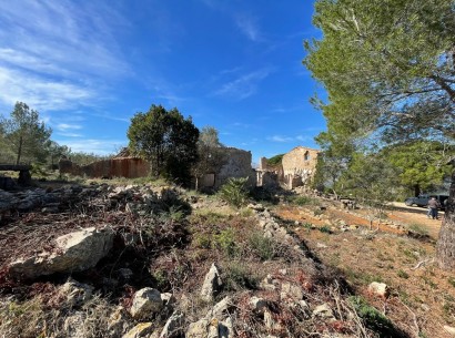 Venta - Building plot -
Beniarbeig - Benidoleig