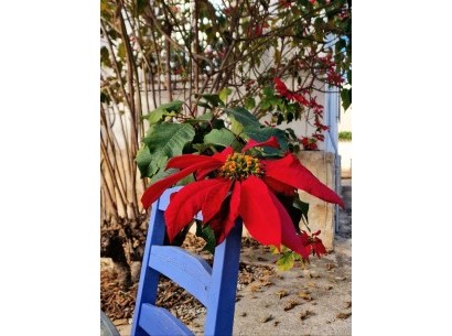 Sale - Chalet -
Benissa - Benissa Costa